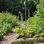 Gudum Park Lemvig