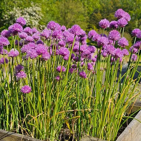 Auberge de jeunesse Gudum Park *