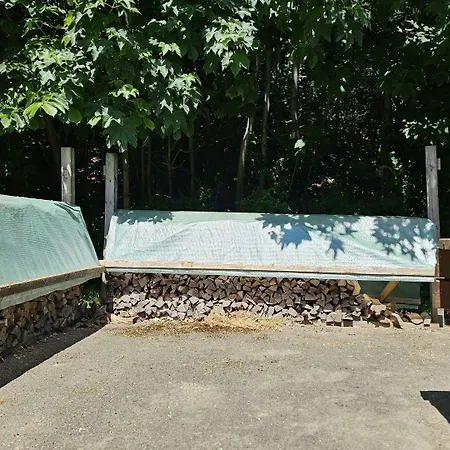 Auberge de jeunesse Gudum Park *