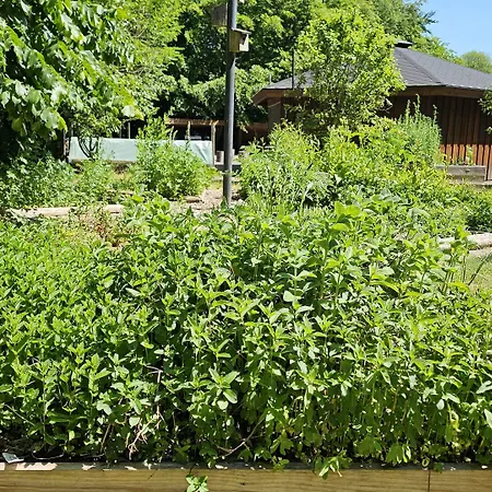 Gudum Park Hostal