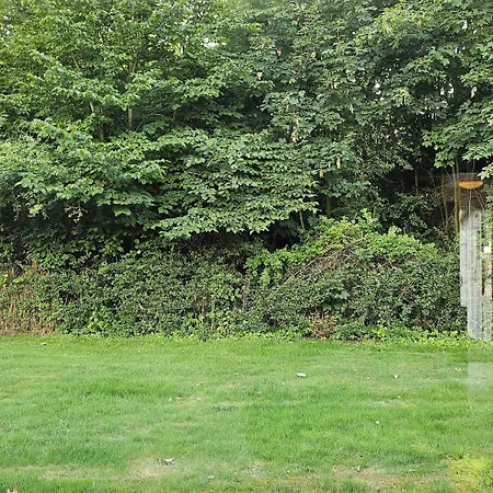 Auberge de jeunesse Gudum Park