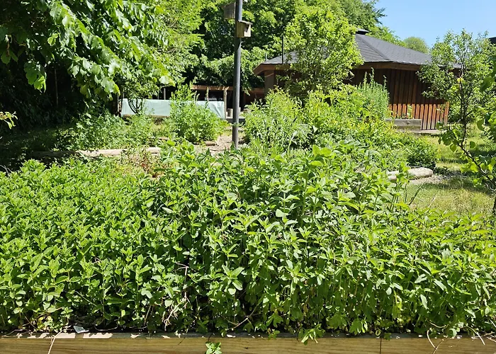 Gudum Park Ostello